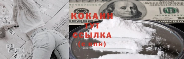 а пвп мука Бородино